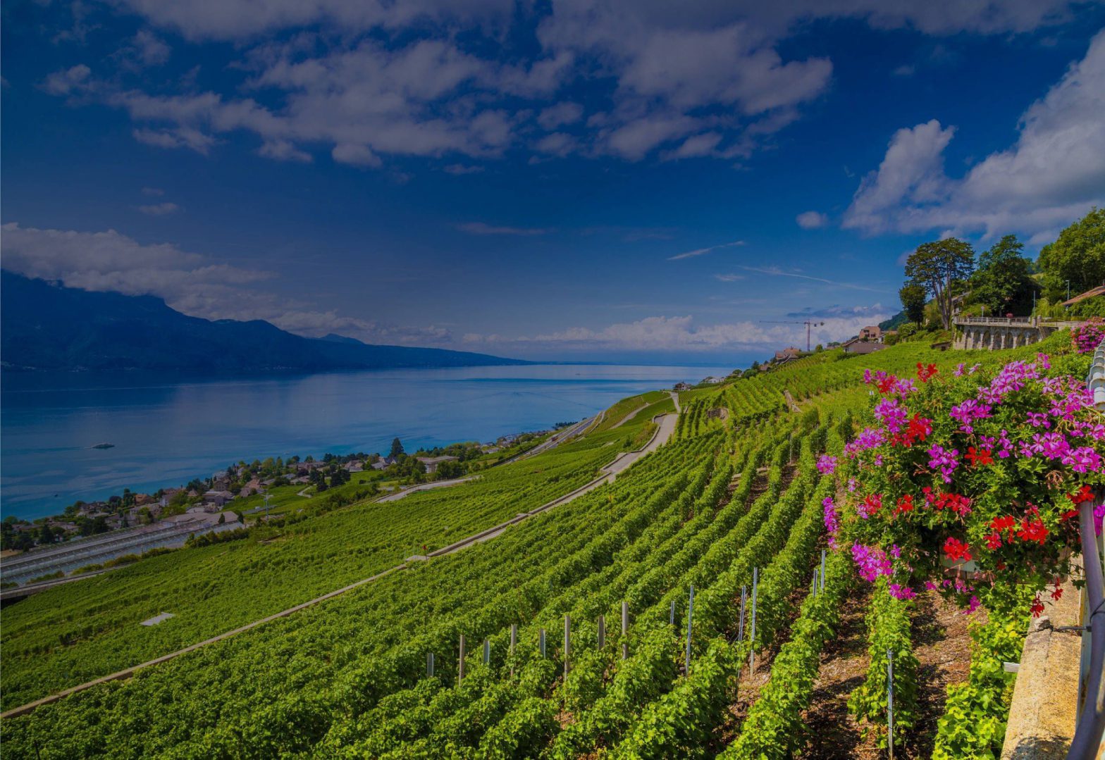 Cure Nutrition Détox cinq étoiles