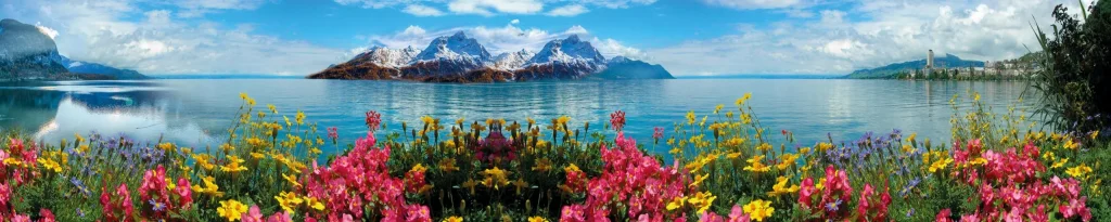 Vue panoramique du lac Léman