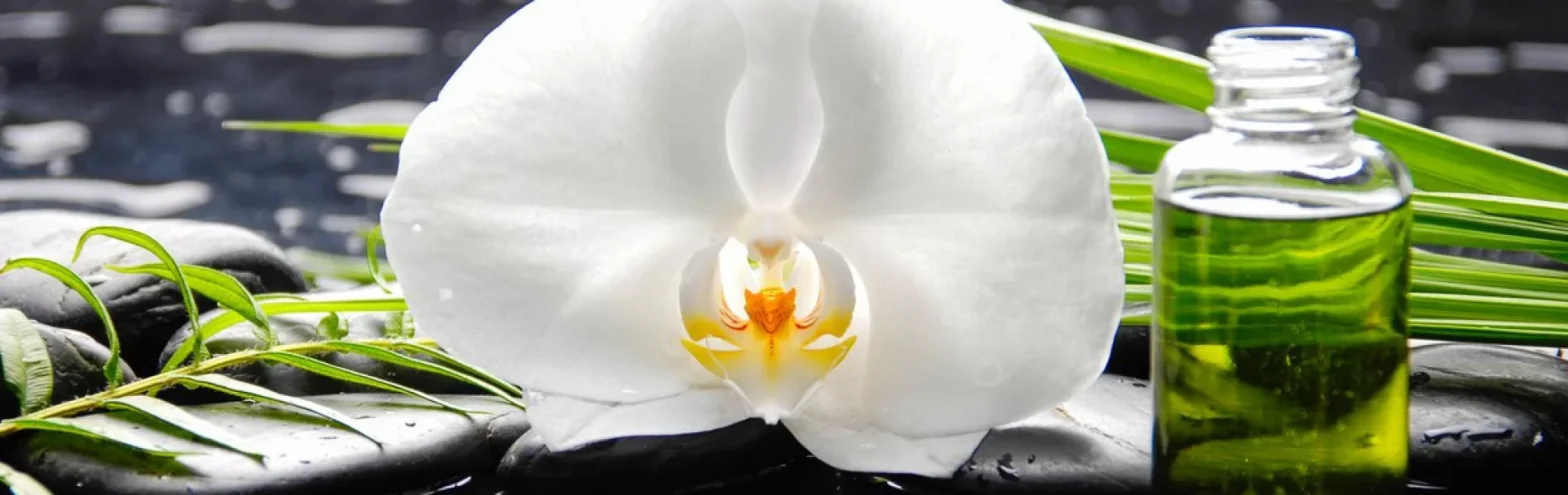 massages ayurvédiques