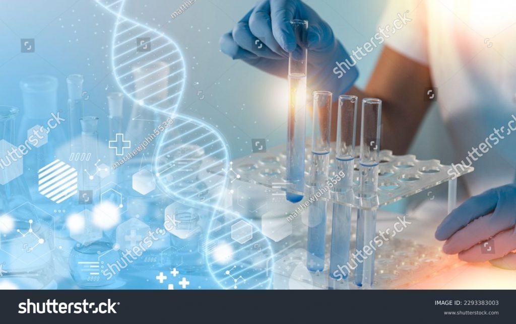 recherches médicales sur les cellules souches