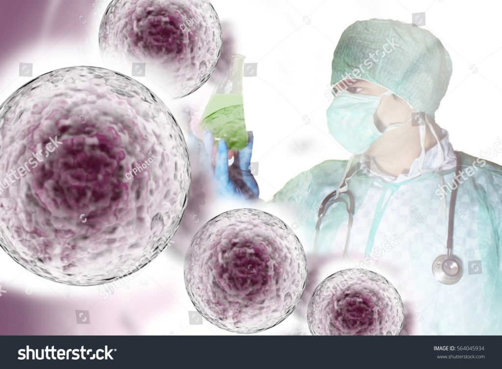 Les cellules souches ont le pouvoir de se transformer en n'importe quelle autre cellule